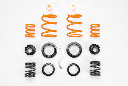 MSS Automotive Fully Adjustable Sports Suspension Kits 02AMING2F5