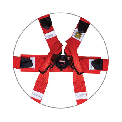 RaceQuip 6-Point All 2 in. Harnesses with Euro Sub Belts 857017RQP